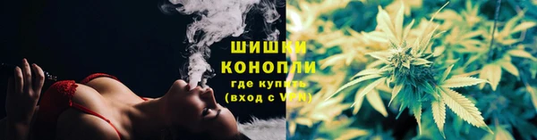 PSILOCYBIN Ростов