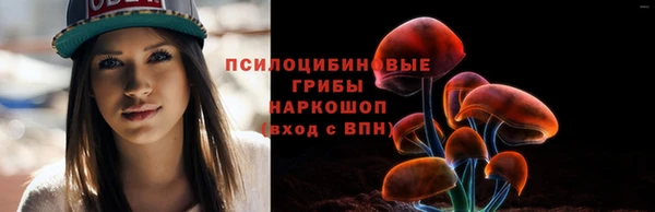 дмт Россошь