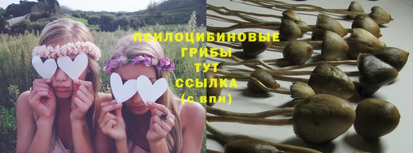 ГАЛЛЮЦИНОГЕННЫЕ ГРИБЫ Пролетарск
