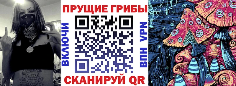 Галлюциногенные грибы мухоморы  Аргун 
