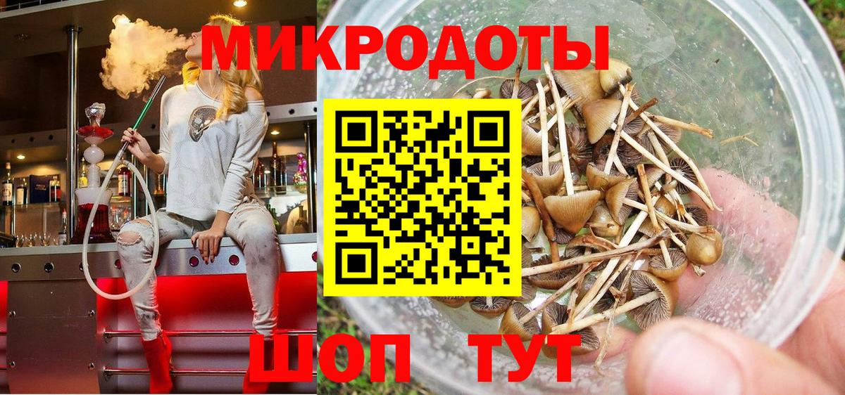 Галлюциногенные грибы MAGIC MUSHROOMS  Вход с VPN  Аргун 