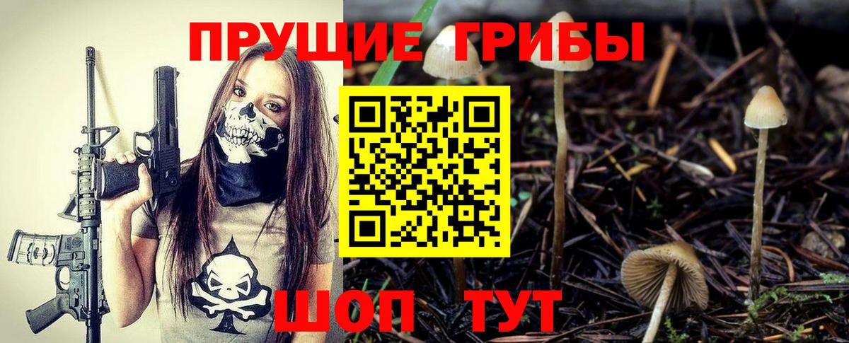 купить наркоту  Аргун  Галлюциногенные грибы MAGIC MUSHROOMS  Галлюциногенные грибы ЛСД 